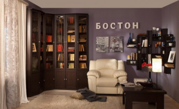 Шкаф для книг завершающий 34 Бостон в Саянском - sayanskij.mebel54.com | фото